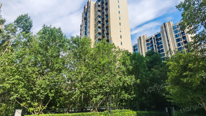 新密碧桂园外景图