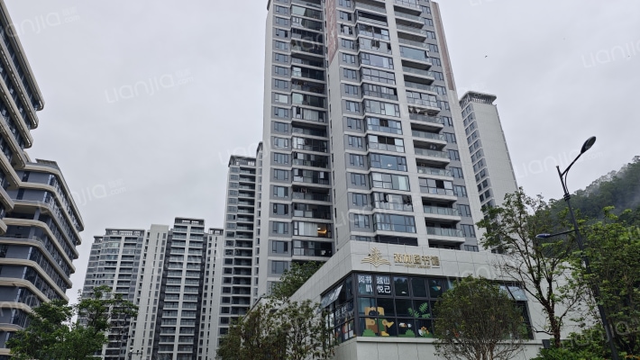 中铁建信达花语天宸外景图