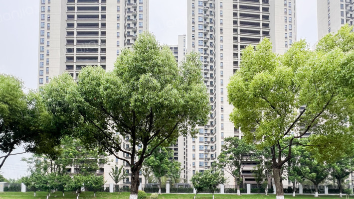 中交锦度外景图