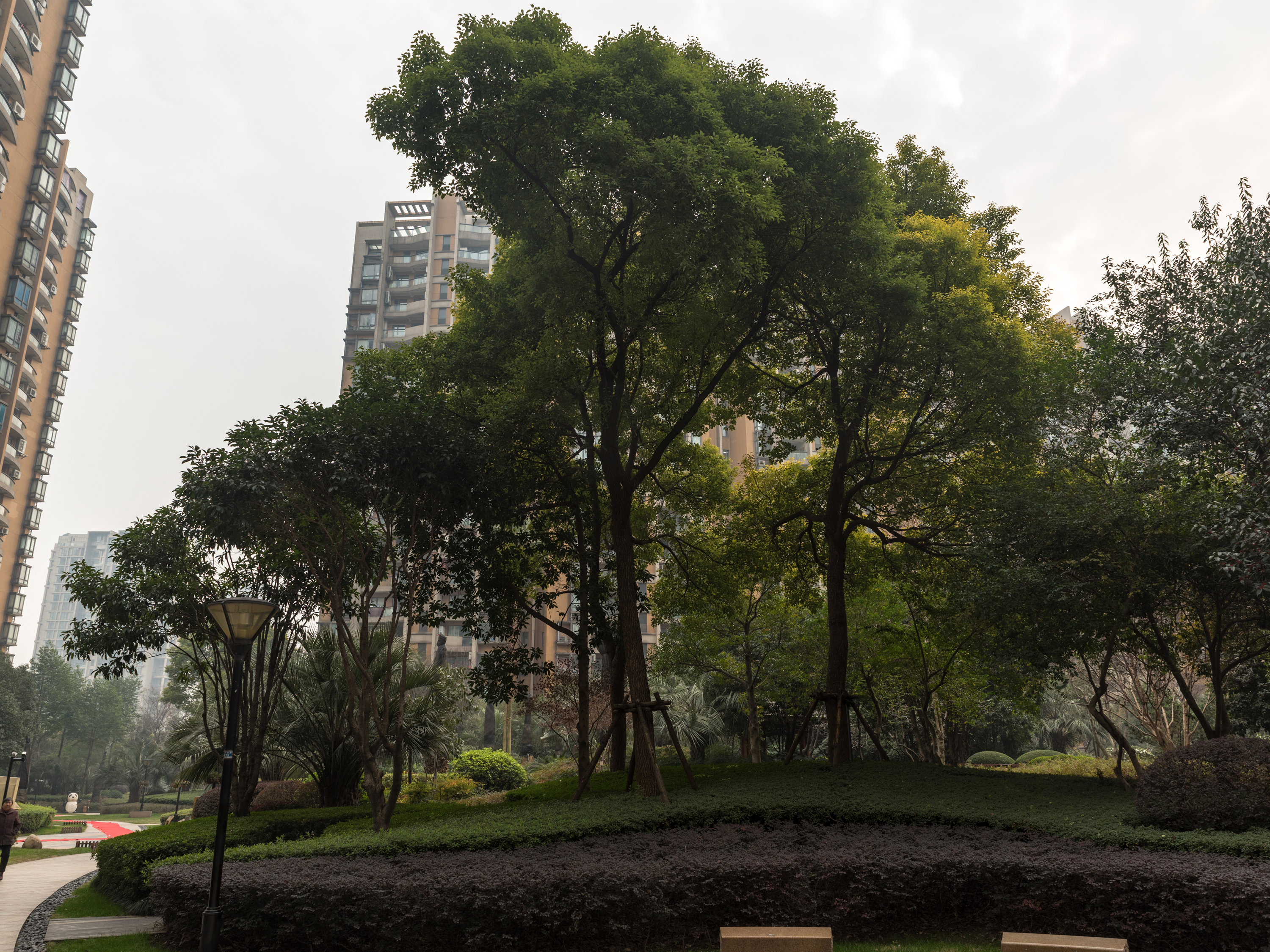 金色家园小区实景 15