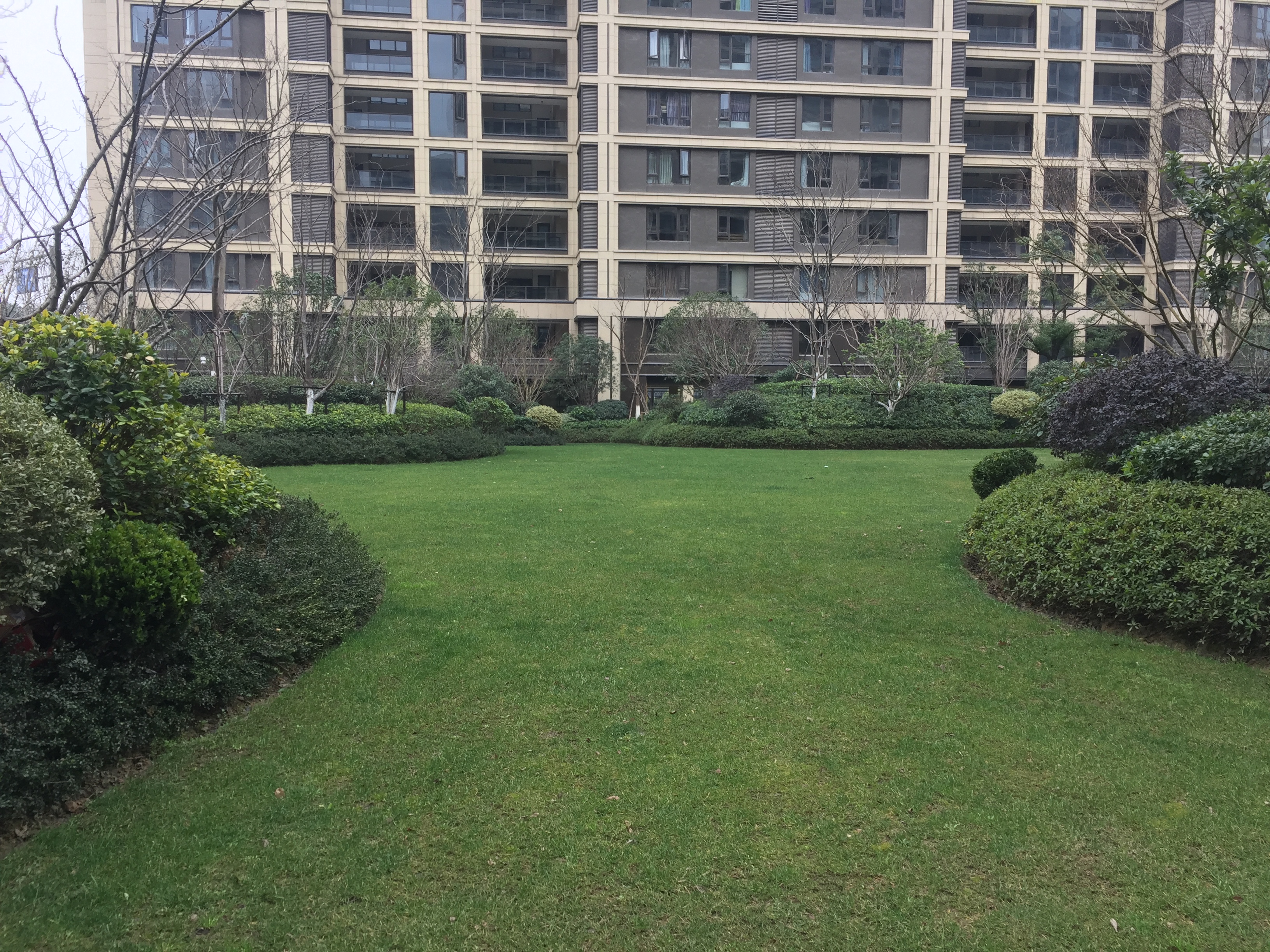Hebin Zhicheng compound photo 9