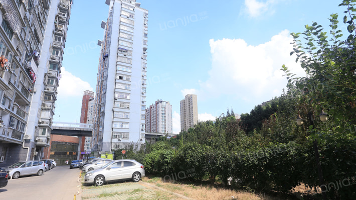 丽都名邸外景图