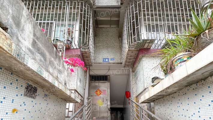 南庄大道东173号外景图