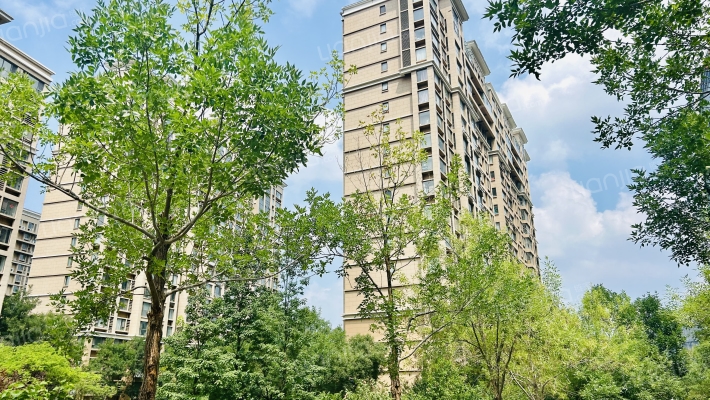 舜奥华府南区外景图