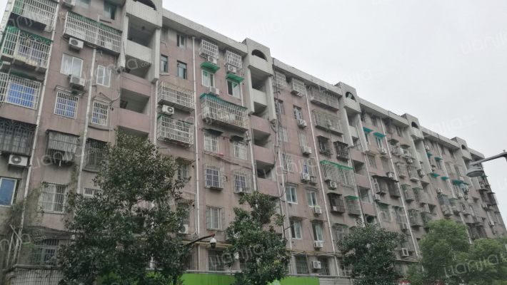 塘苗路28号外景图