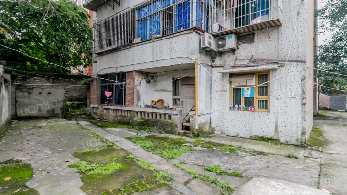 渝州路93号外景图