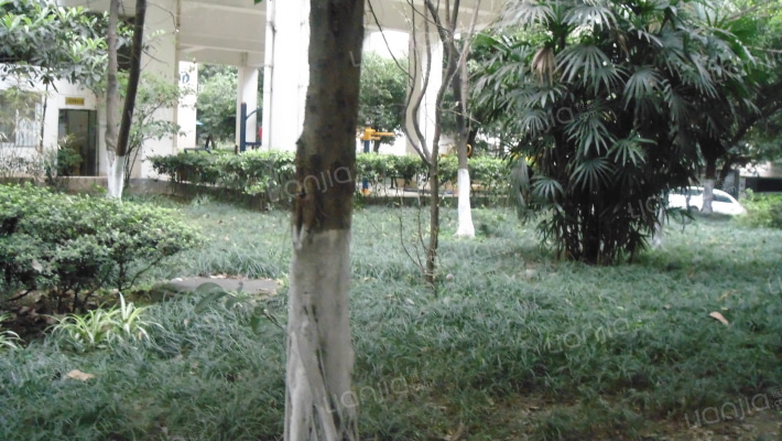 南方花园C5区外景图