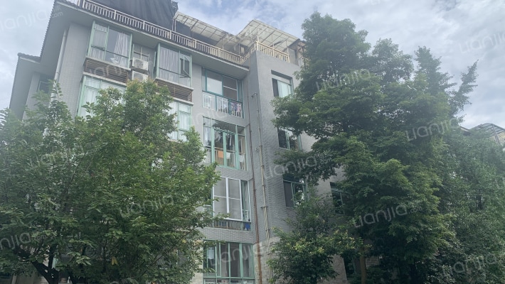 花簇锦绣外景图