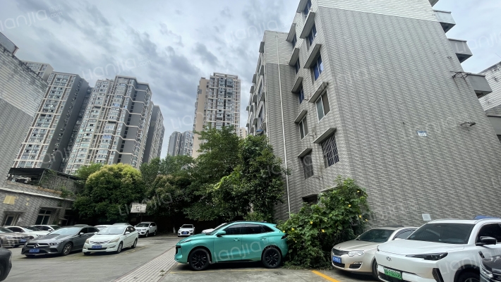 双兴名邸四季春天外景图