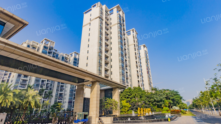 棕榈彩虹外景图