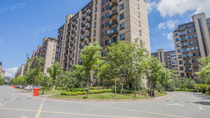 中海阳光玫瑰园外景图