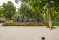 中南谷户型图实景图