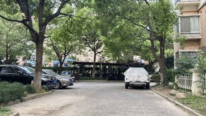 上海未来外景图