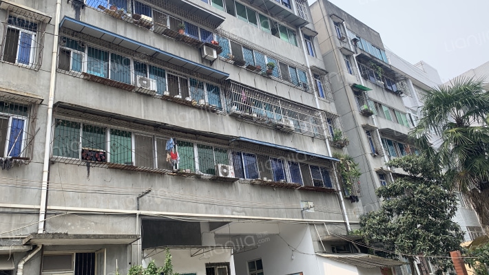 绣城路南段269号外景图