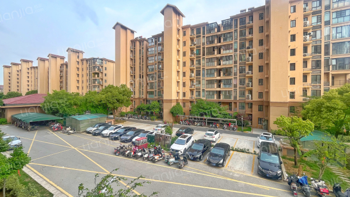 星湖花海外景图