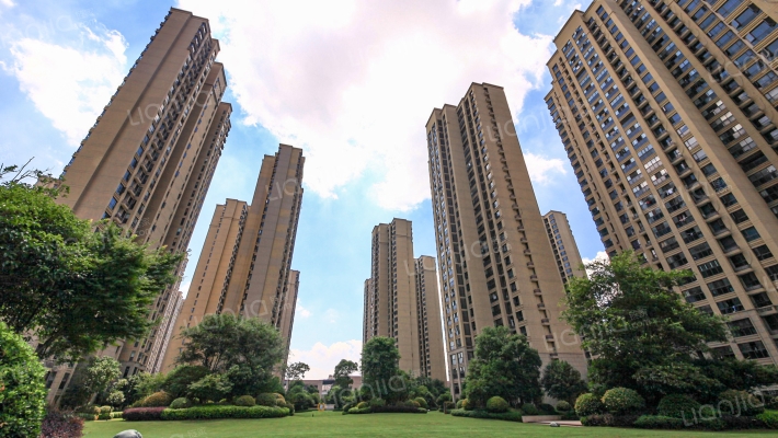 新力愉景湾外景图