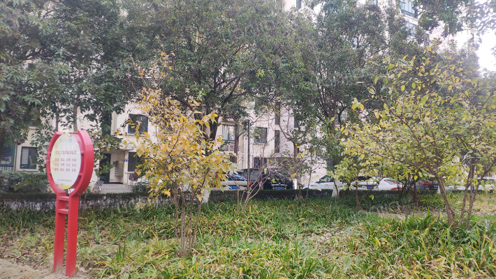 南洋博仕欣居外景图