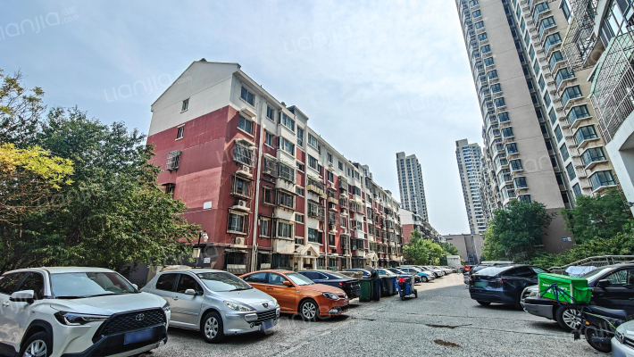 蓝岸森林外景图