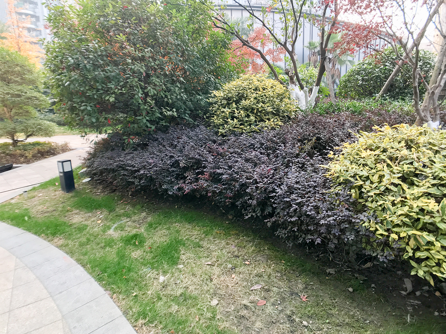 东方御府小区实景 15