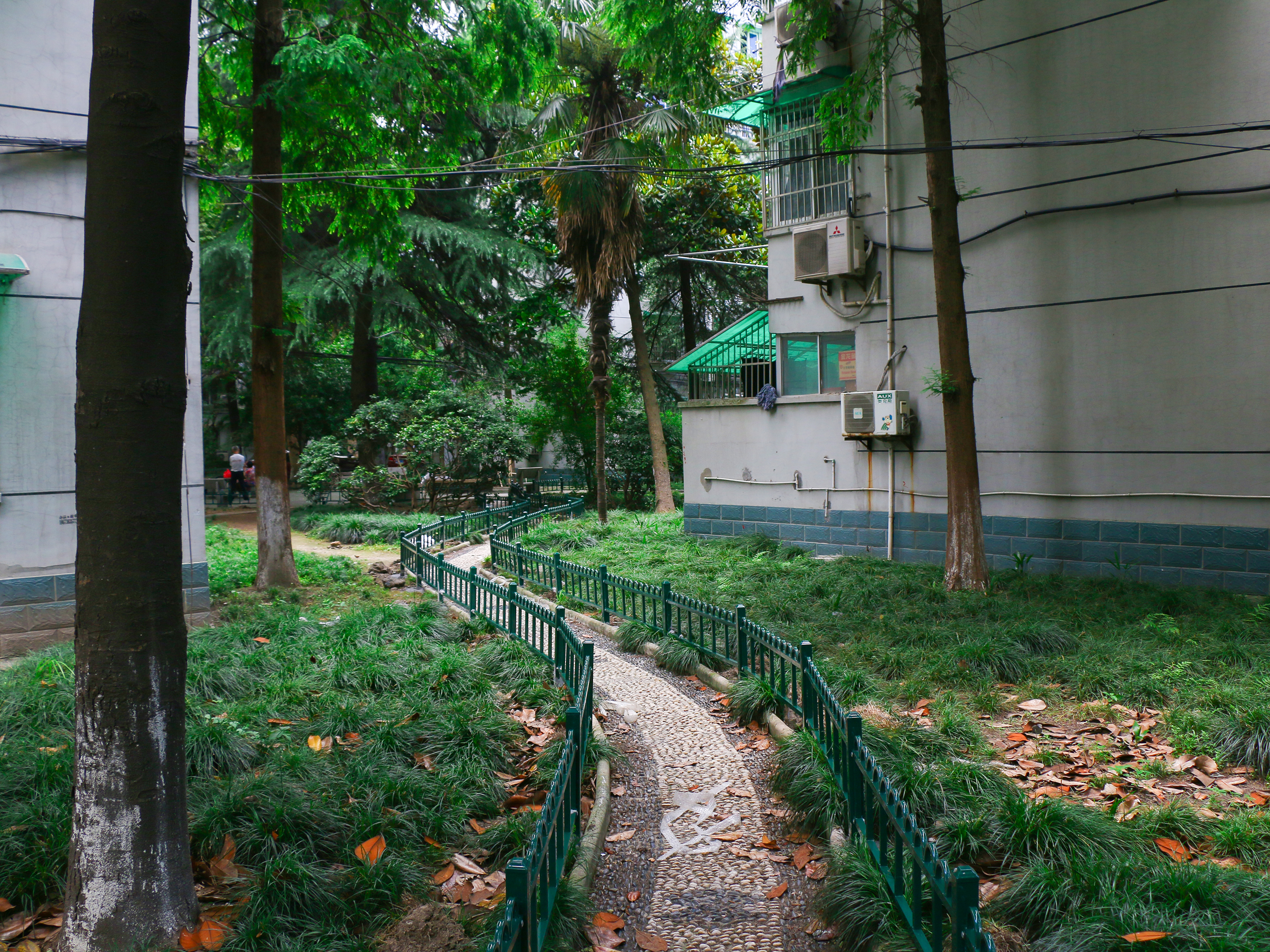 采荷一区小区实景 12