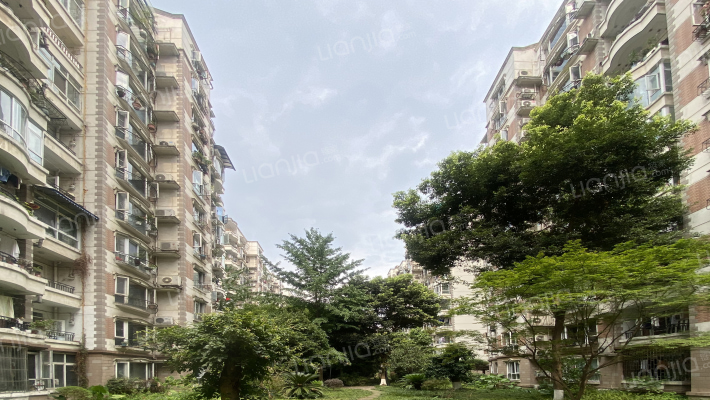 棕南公寓外景图