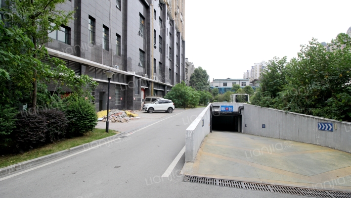 和隆花半里外景图