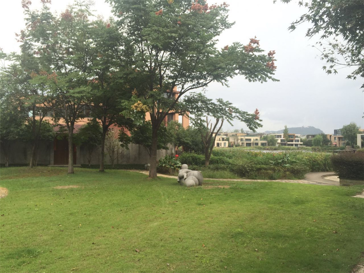南岸花城小区实景 31