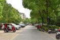 馨宁公寓户型图实景图