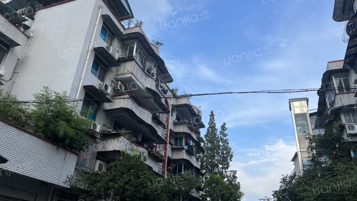 烟草公司家属区(观凤东街)外景图