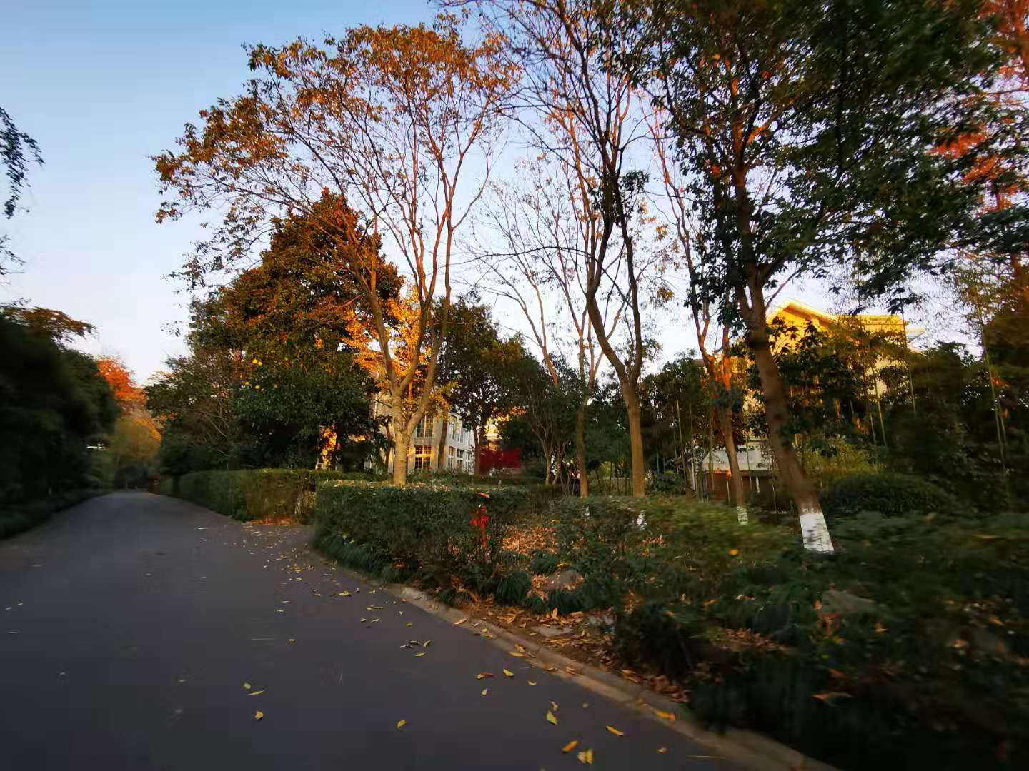 Jing Yue Bay compound photo 28