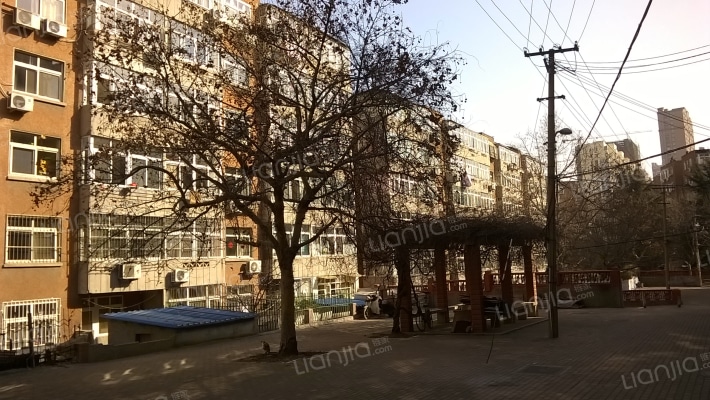 项城路2-6（双号）外景图