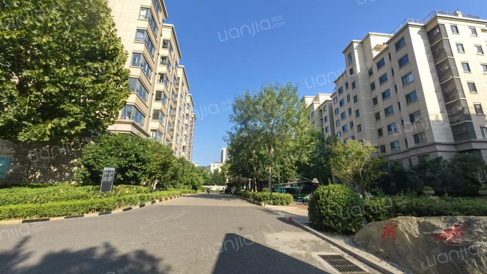 唐郡荷花园外景图