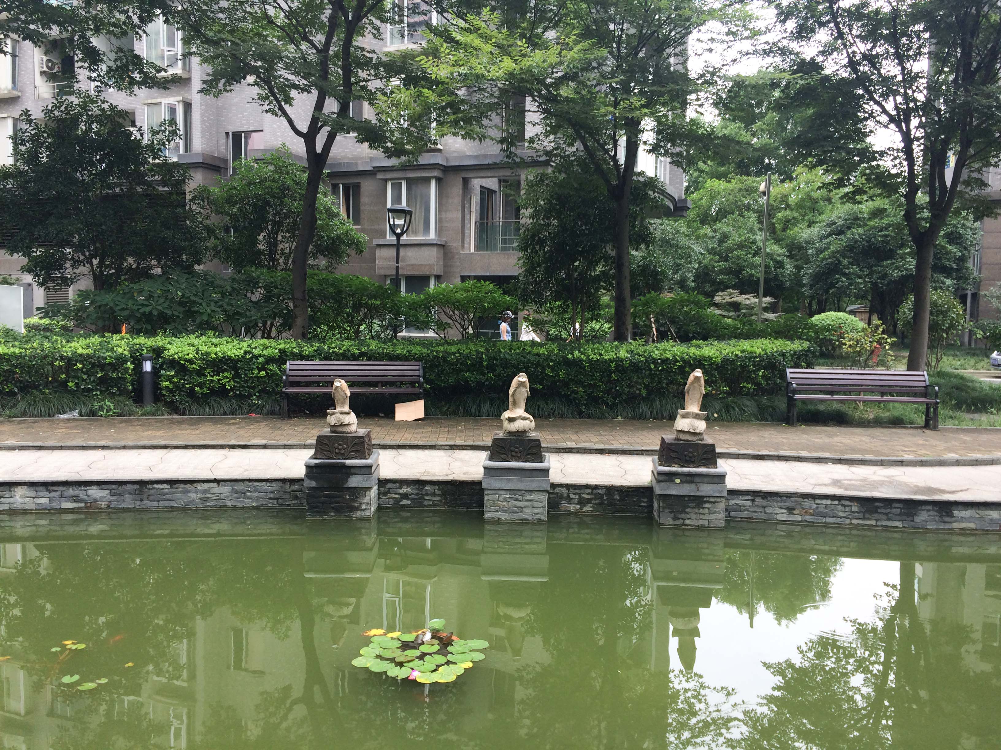 铂金时代小区实景 8
