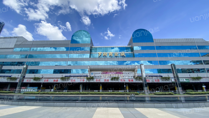 罗湖商业城外景图