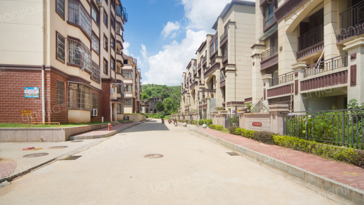 半山枫景外景图