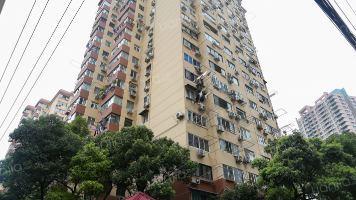 乐山路6号外景图