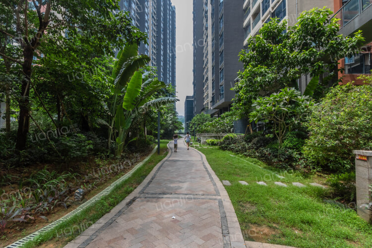 百丽名苑 深圳百丽名苑二手房 房价 租房 深圳贝壳找房