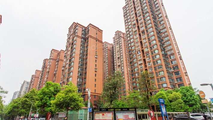 桔洲印象外景图