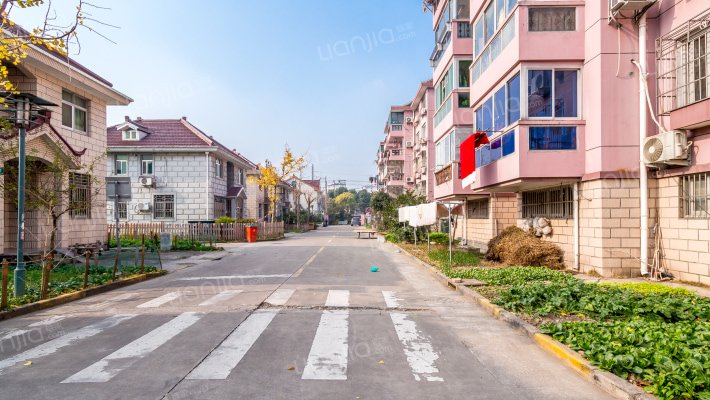 汤巷中心村外景图