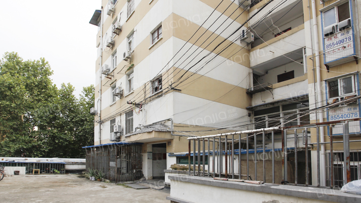 红花村161号外景图