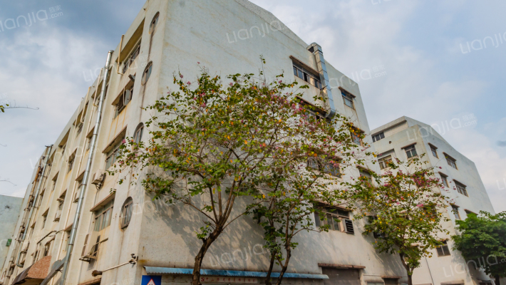 南朗镇第三工业区外景图