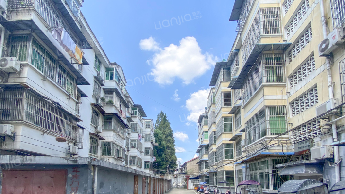 包公路花炮中心小区外景图