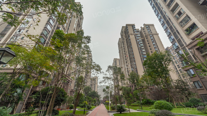 鲁能领秀城5街区外景图