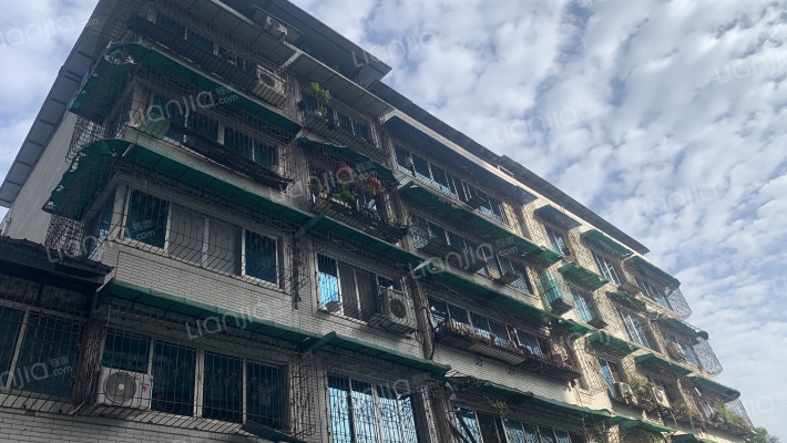 翠湖西街163号外景图