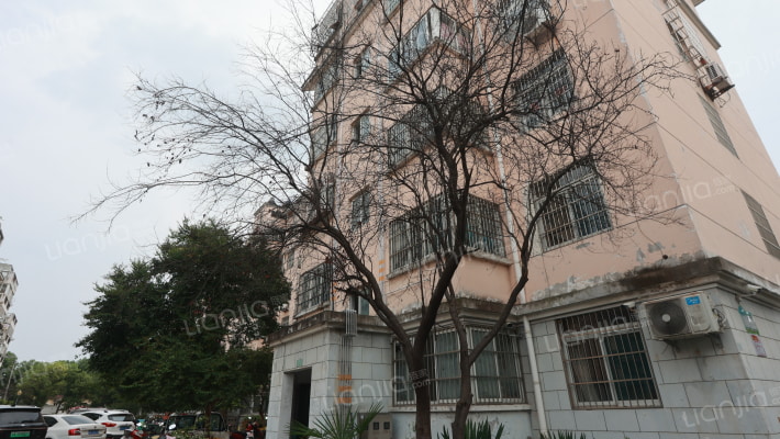 包公学府花园外景图