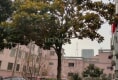 城东园区户型图实景图