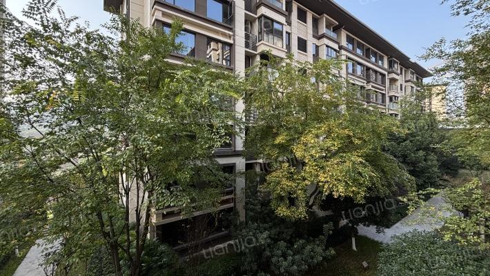 金科禹洲府天境外景图