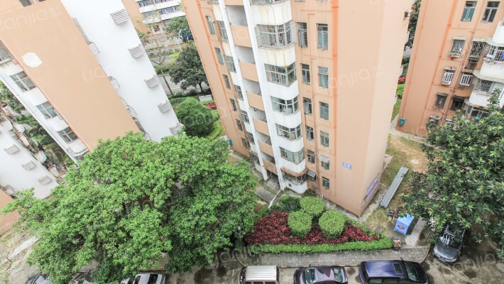 沙头角保税区第三工人生活区外景图