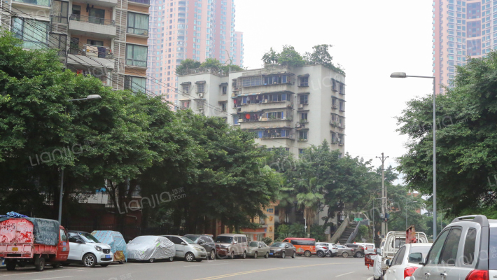 红工村263号外景图