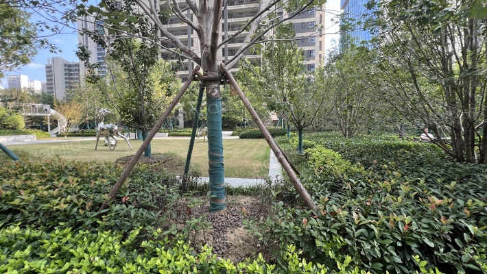 保利文化广场和园外景图